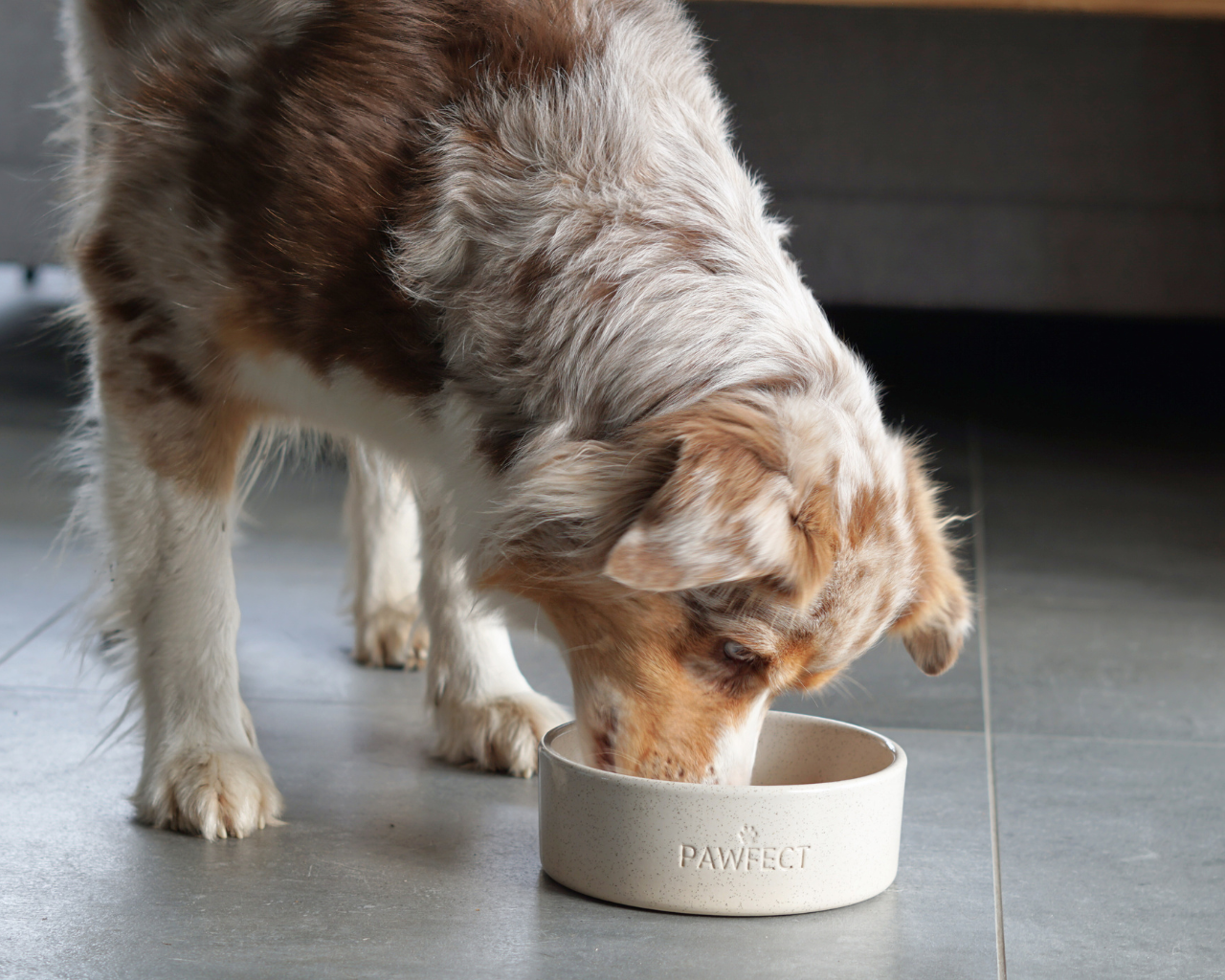 Hundenapf aus Keramik "Pawfect"